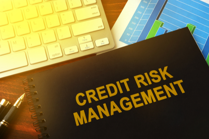 Managing Credit Risks in Wholesale Business